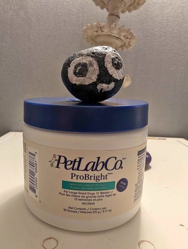 Pet Lab Co. Probiotics