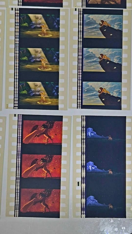 Movie film cells 35mm original The lion king 1993 - photo 3