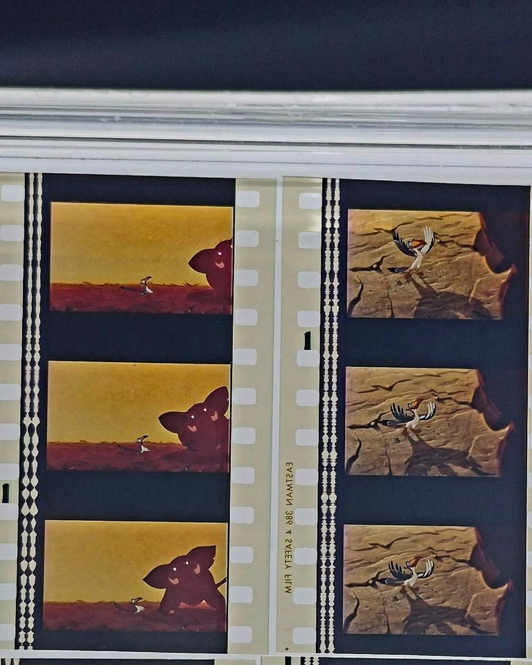 Movie film cells 35mm original The lion king 1993 - photo 5