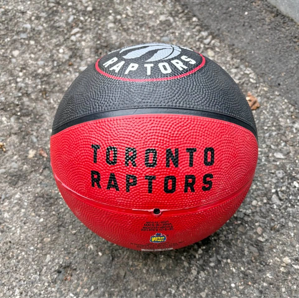 Toronto Raptors Outdoor Rubber Basketball