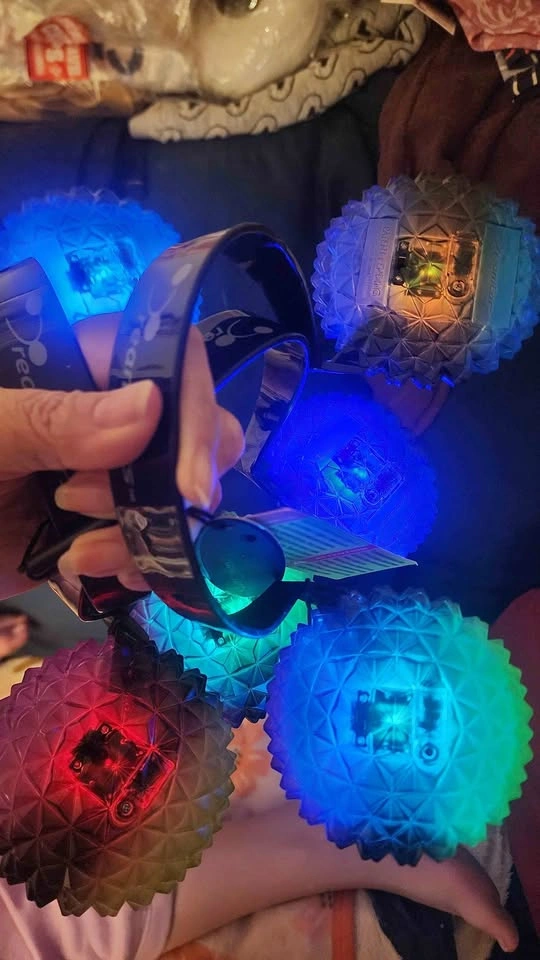 Mickey Light Up Dream Ears