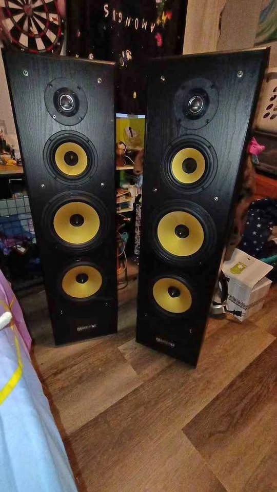 Pair of speakers