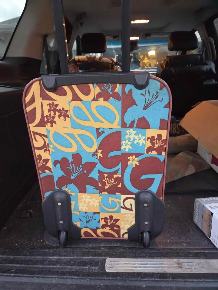 Wild Terrain Retro Rolling Soft Shell Carry On Suitcase - photo 4