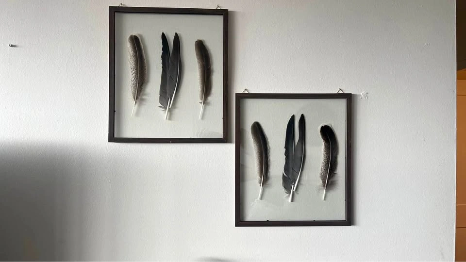 2 Wall Pictures