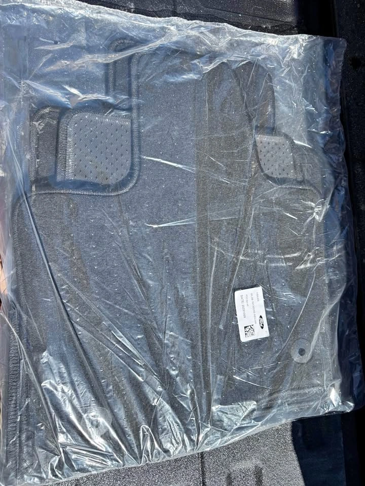 OEM F150 Carpet Mats