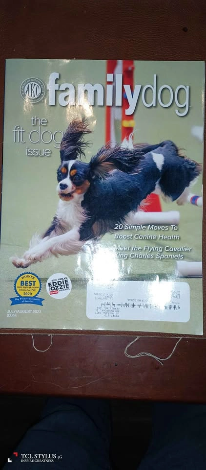 Family Dog – AKC Magazine Bundle (3 Issues) – Great Condition - photo 2