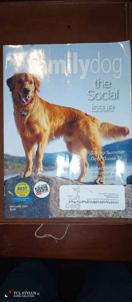 Family Dog – AKC Magazine Bundle (3 Issues) – Great Condition - photo 3