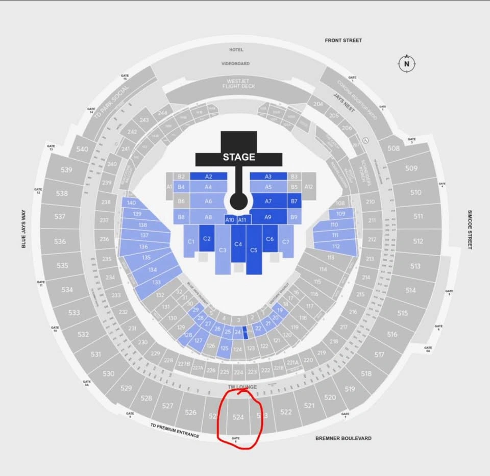 Diljit Dosanjh Toronto Concert – 2 Tickets Together (May 31) - photo 2