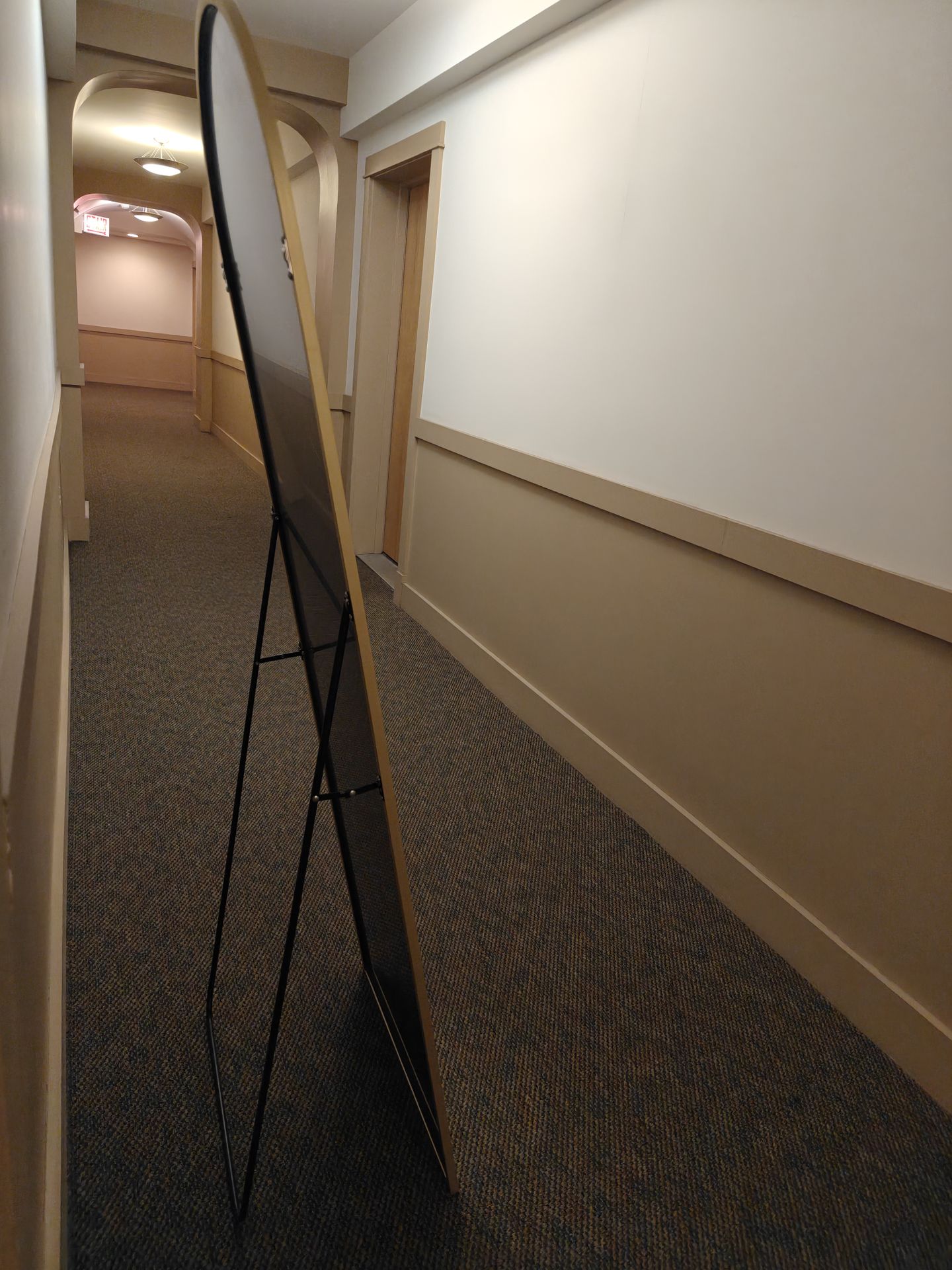 Arched Full Length Mirror - Gold Aluminum Frame (64" x 21") - photo 3