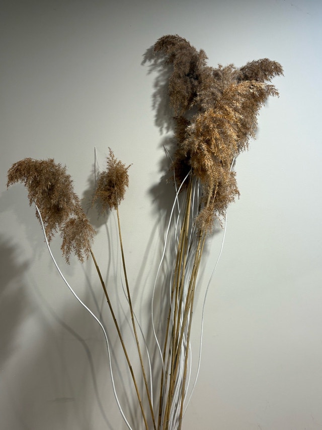 Grand Scale Woven Floor Vase + Pampas Arrangement - photo 3