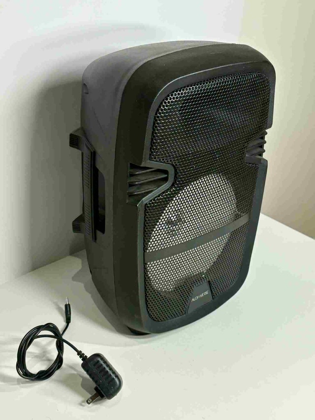 AUDIOVERSE AV-819 Portable Speaker w/ USB & Mic Input
