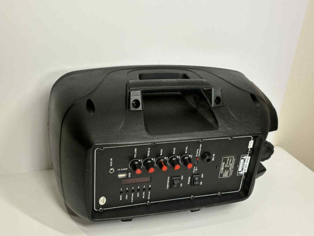 AUDIOVERSE AV-819 Portable Speaker w/ USB & Mic Input - photo 2