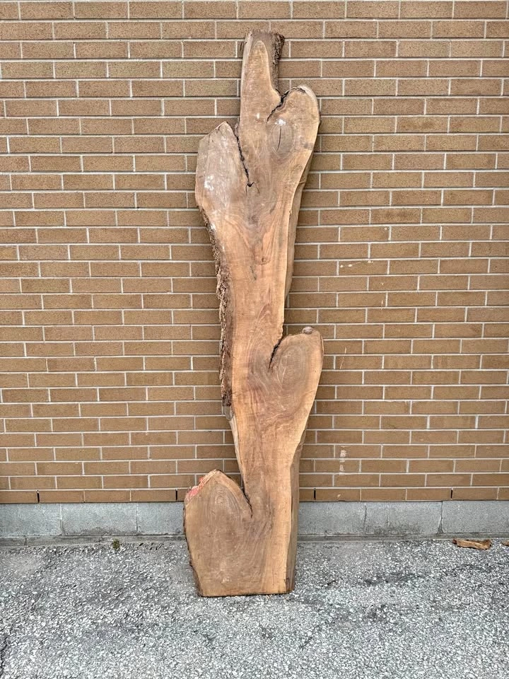 Unique Walnut Wood Slab, Kiln Dried 8'L