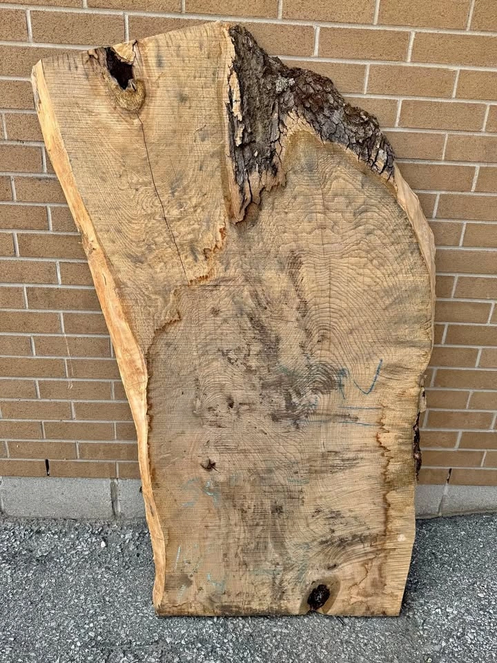 Kiln dried ash slabs large