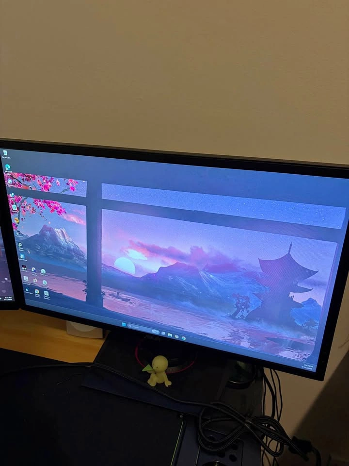 Asus ROG Monitor 24"