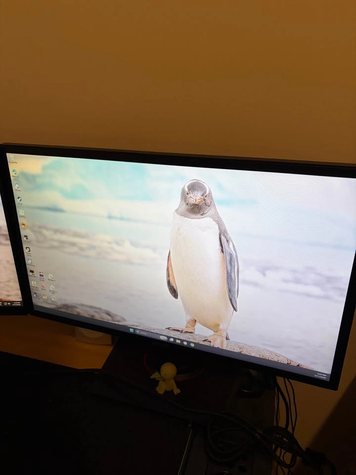 Asus ROG Monitor 24" - photo 4