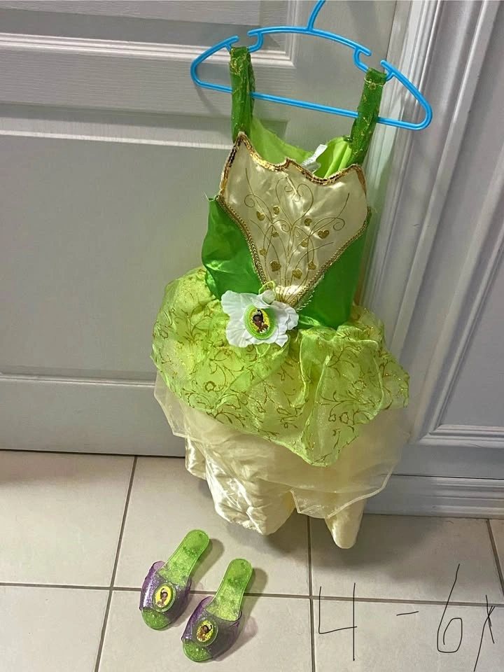 Disney Princess Dress - Size 7/8