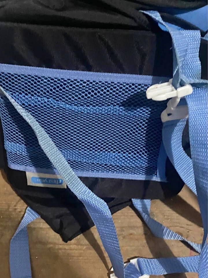 Portable booster chair