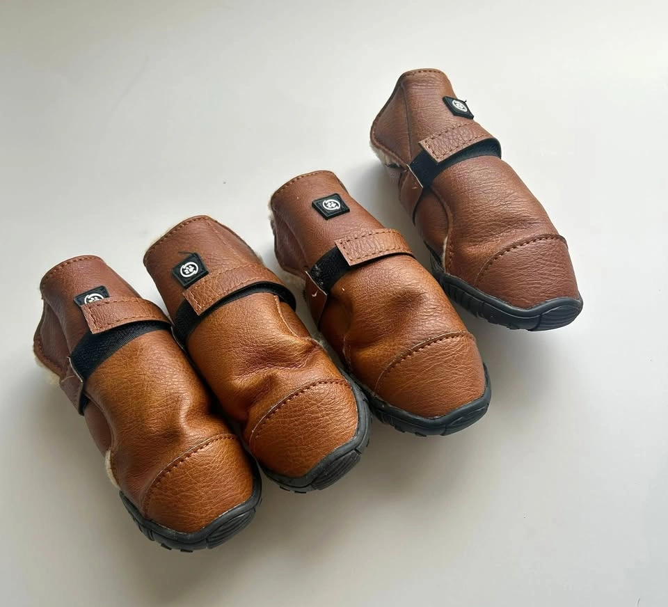 Easy-Fit Dog Boots – Size M (Protect Your Pup’s Paws!)