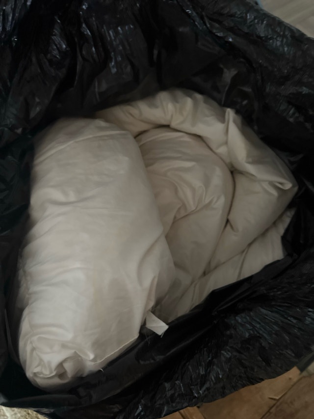 Queen Size Feather Bed