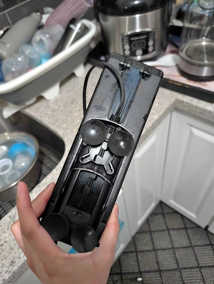 Fluval U3 internal filter aquarium