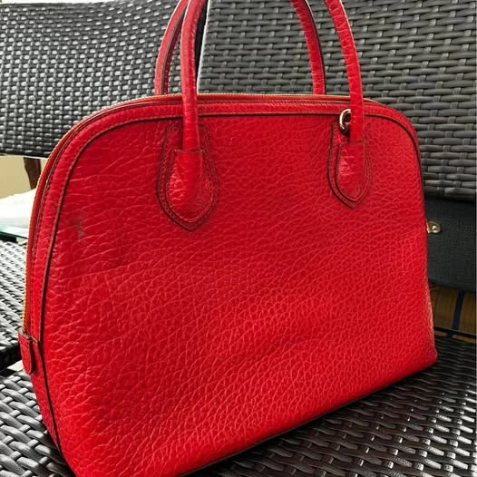 (BNWT) DKNY Satchel Bag French Grain Red - photo 3