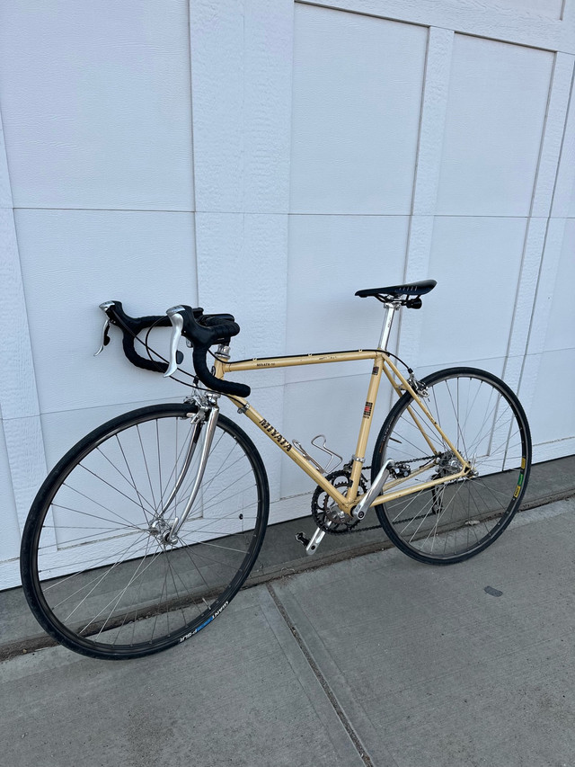 Miyata Road Bike