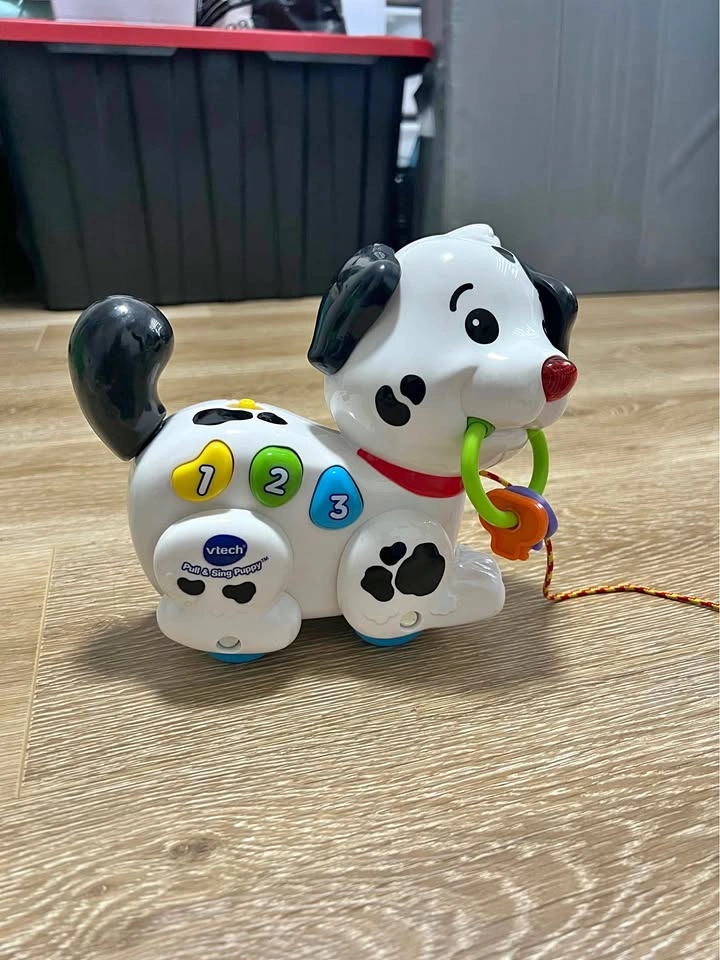 Vtech Pull and Sing Puppy