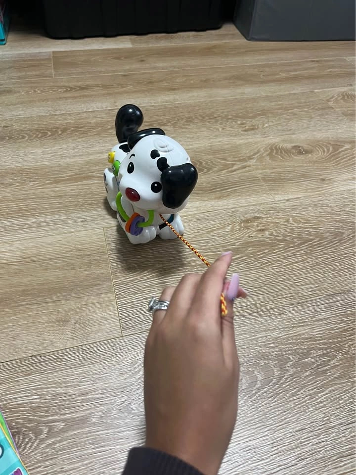 Vtech Pull and Sing Puppy - photo 2