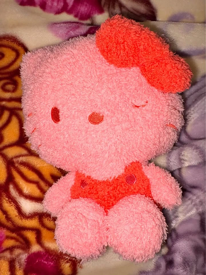 Hello Kitty Pink Plush