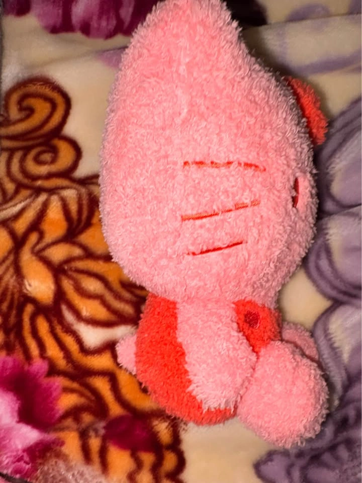 Hello Kitty Pink Plush - photo 2