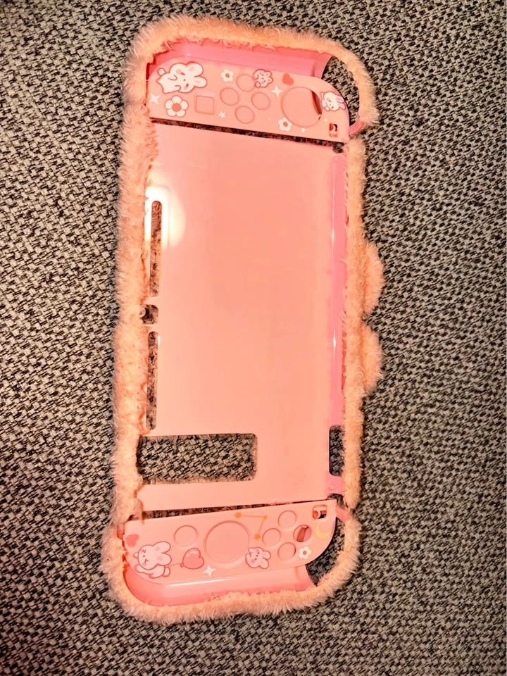 Nintendo Switch Case