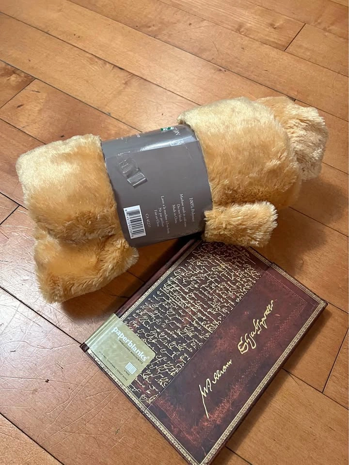 Cozy Gift Set – Shakespeare Notebook + Soft Blanket 📖✨