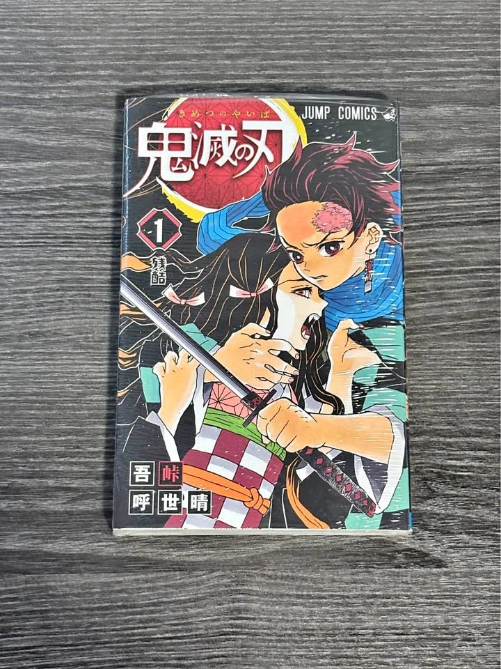 Demon Slayer Vol.1 Manga