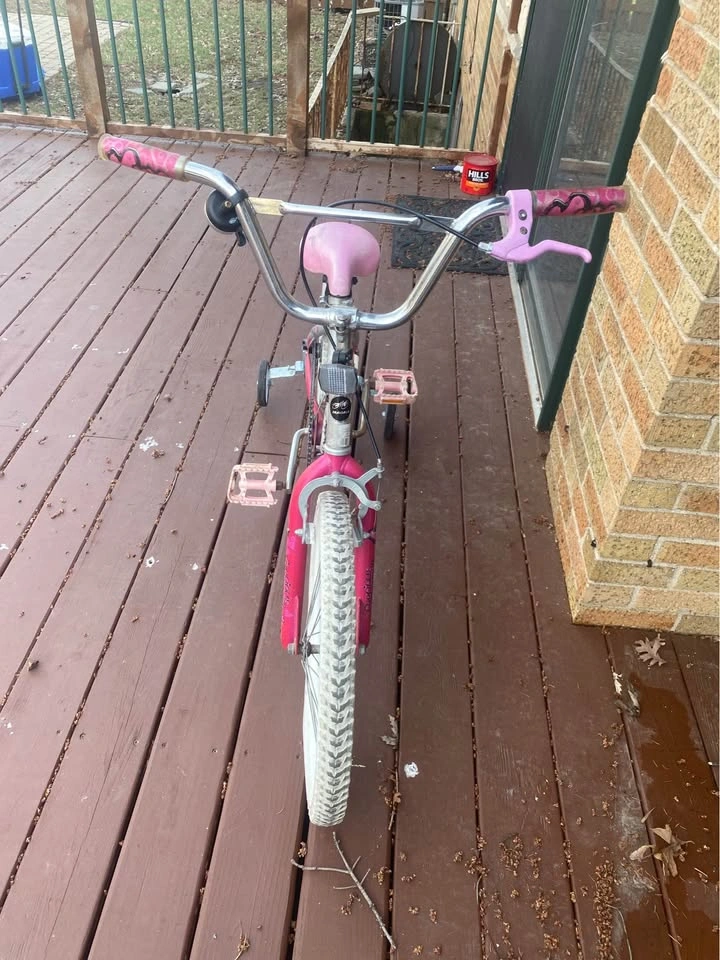 20” Girls Bike with Training Wheels - photo 2
