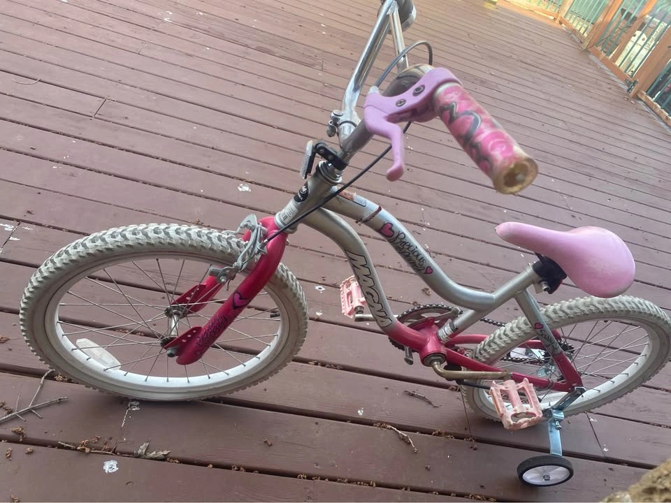 20” Girls Bike with Training Wheels - photo 3