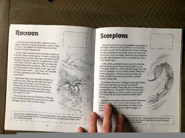 Scholastic Creature Of The Night Sticker Book 1992 - photo 3
