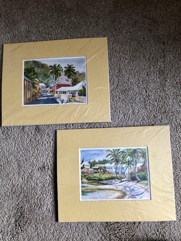 Vintage Bermuda Prints + Matting (2), never used