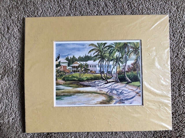 Vintage Bermuda Prints + Matting (2), never used - photo 5