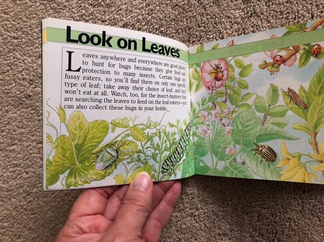 The Bug Book (Brampton) - photo 4