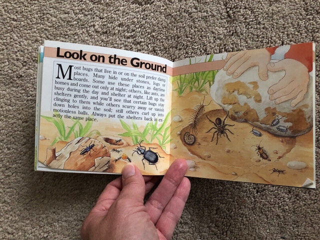 The Bug Book (Brampton) - photo 5