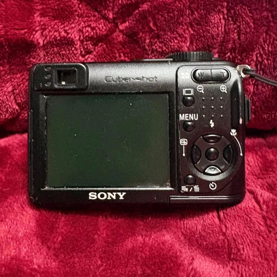 Sony DSC W-1 Digital Camera - photo 5