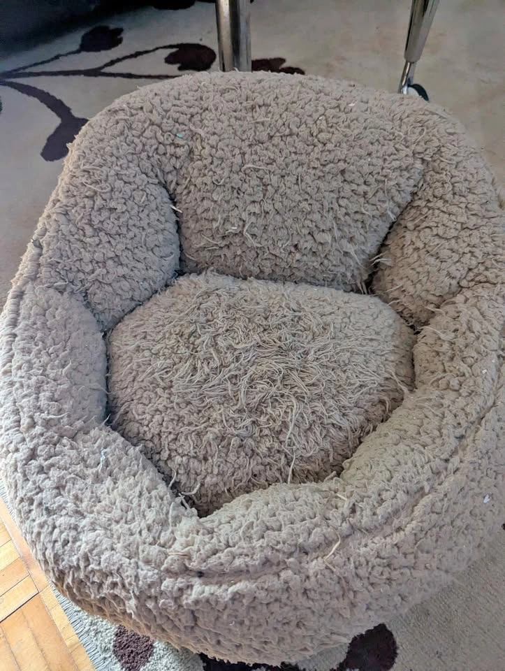 Small Dog Bed