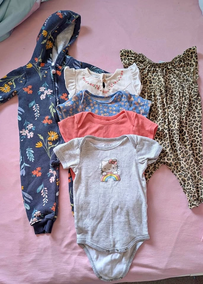 Baby Girl Clothes Bundle 6-12 months