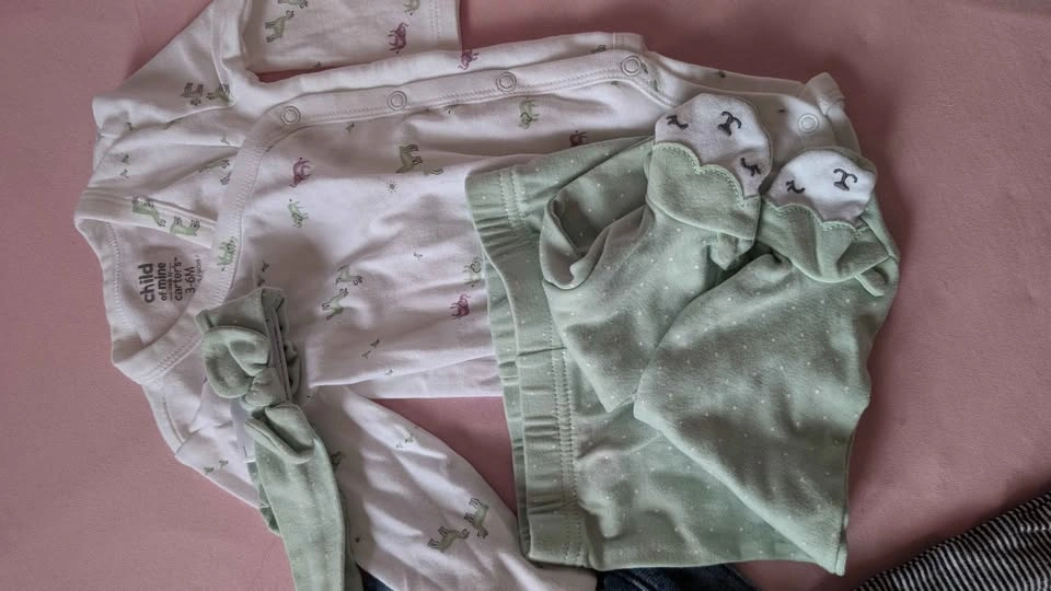 Baby Girl Clothes Lot 3-6M - photo 2