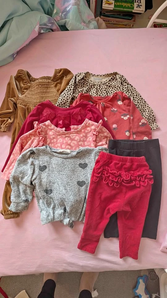 Baby girl clothes bundle 6-12 months
