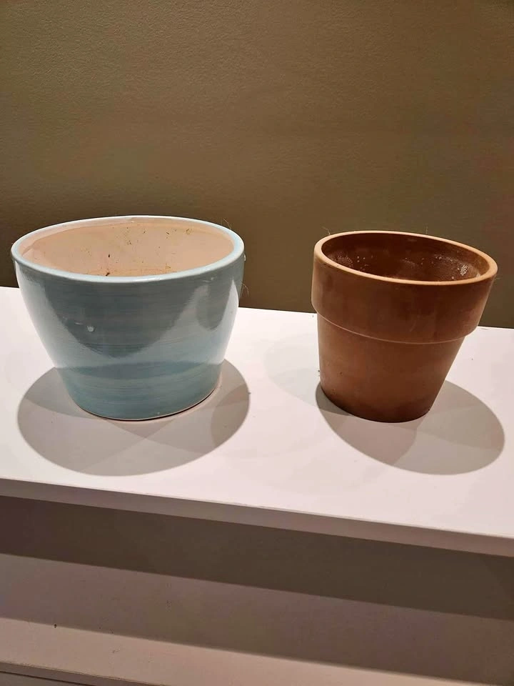 Terracotta Flower Pot 🥕