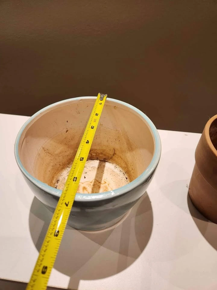 Terracotta Flower Pot 🥕 - photo 2