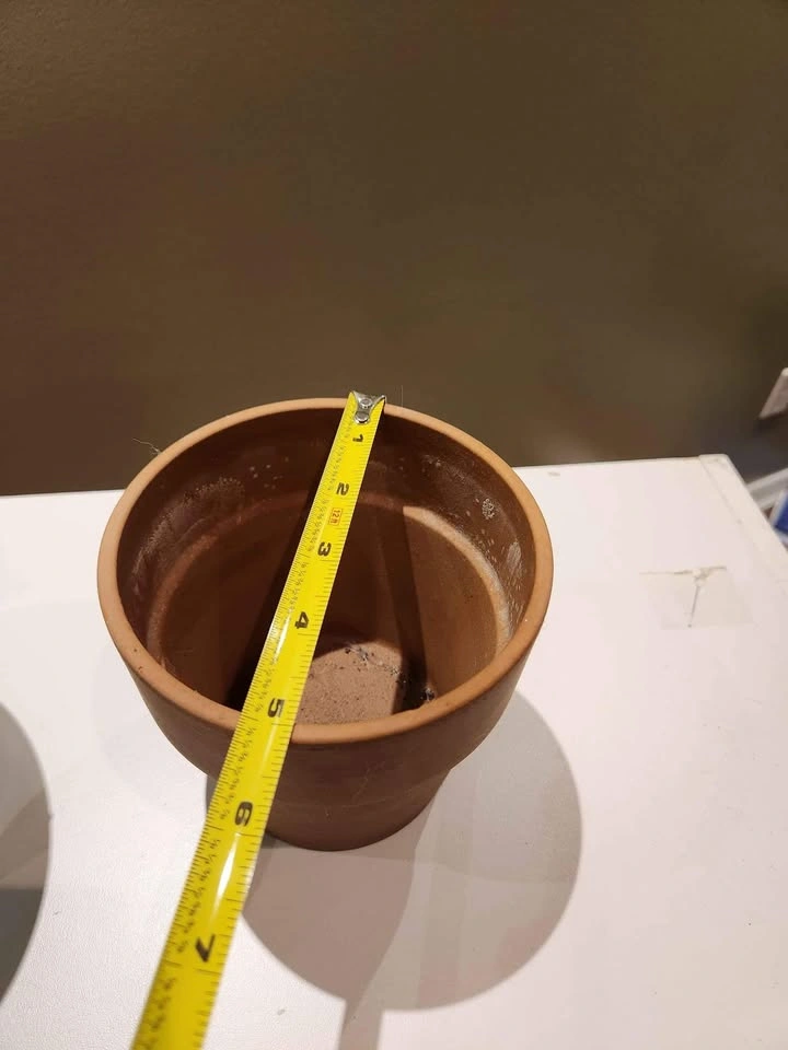 Terracotta Flower Pot 🥕 - photo 3