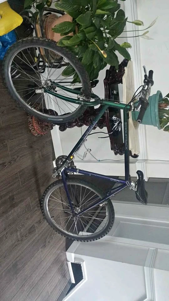 Trek 930 Singletrack Mountain Bike